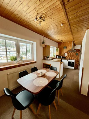 Apartmán Mincovní Jáchymov